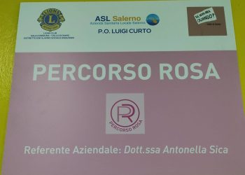Maltratta la moglie, scattano i domiciliari: decisivo il “Percorso rosa” dell’ospedale di Polla
