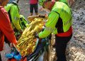 Cade dalla bici, a Olevano, e si ferisce gravemente
