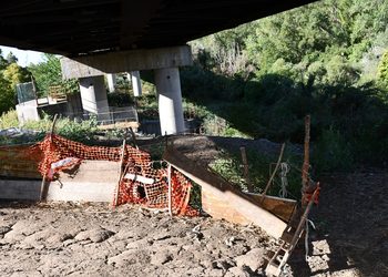 Rifiuti e letame sotto il viadotto della Fondovalle Sele: sequestrata un’area di 3mila metri quadrati a Colliano