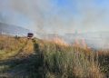 Incendio di sterpaglie ad Atena Lucana, danni a due veicoli in un’officina