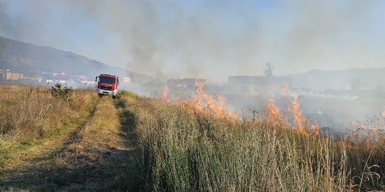 Incendio di sterpaglie ad Atena Lucana, danni a due veicoli in un’officina