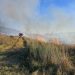 Incendio di sterpaglie ad Atena Lucana, danni a due veicoli in un’officina