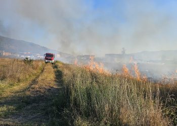 Incendio di sterpaglie ad Atena Lucana, danni a due veicoli in un’officina