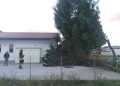 Albero cade davanti a una casa a Sala Consilina per il forte vento. Intervento dei vigili del fuoco