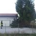 Albero cade davanti a una casa a Sala Consilina per il forte vento. Intervento dei vigili del fuoco