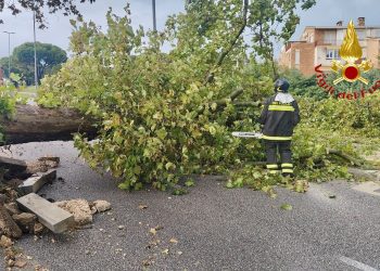 Maltempo nel materano, 16 interventi dei Vigili del Fuoco: allagamenti e alberi pericolanti