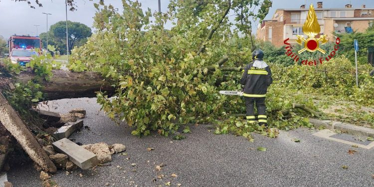Maltempo nel materano, 16 interventi dei Vigili del Fuoco: allagamenti e alberi pericolanti