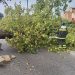 Maltempo nel materano, 16 interventi dei Vigili del Fuoco: allagamenti e alberi pericolanti