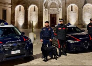 Controlli a tappeto dei Carabinieri di Matera:  oltre 7 mila euro di sanzioni