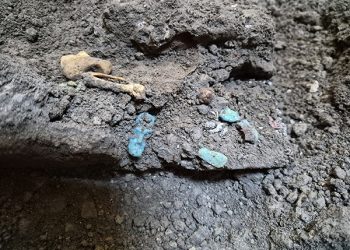 A Pompei torna alla luce l’armadio di una donna: all’interno oggetti di bellezza, gioielli e monete
