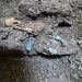 A Pompei torna alla luce l’armadio di una donna: all’interno oggetti di bellezza, gioielli e monete